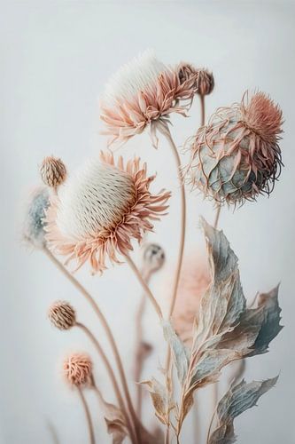 Light Pastel Dry Flowers