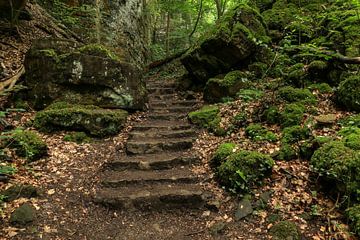 doorkijkje verweerde trap in bos Müllerthal van FotoBob