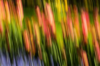 schilderachtig beeld van bloemen