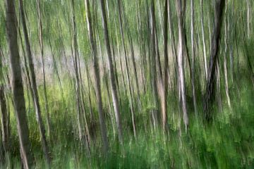 Abstracte bomen in een bos van Tonko Oosterink