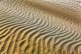 Terschelling, Oosterend. Sand forms with hoarfrost. by Frans Lemmens