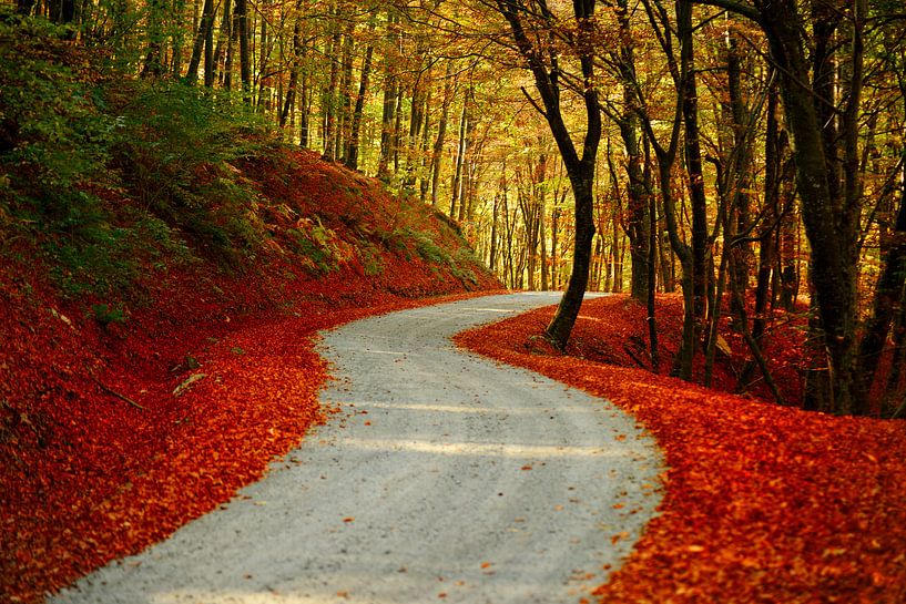 Die Straße von Ilija Stanusic
