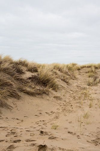 Dune path with footsteps