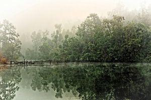 foggy morning von rene schuiling