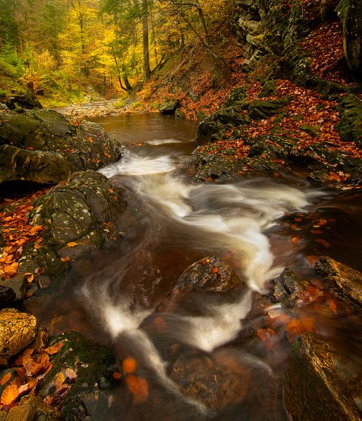 Volop herfst aan de rivier de Getzbach in de Hoge Venen in de Ardennen. van Jos Pannekoek
