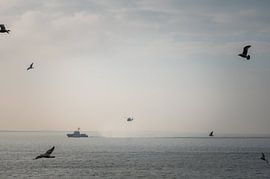 SAR Hamburg mit Hubschrauber und Möwen von Jan Georg Meijer