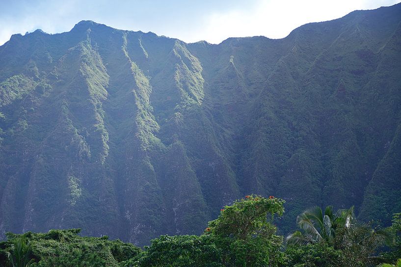 Close to the Kuli'ou'ou mountain range by Frank's Awesome Travels