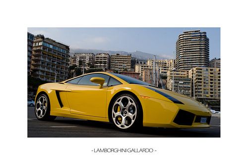 Lamborghini Gallardo (white edition)