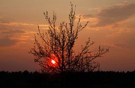 Abend von Thomas Jäger