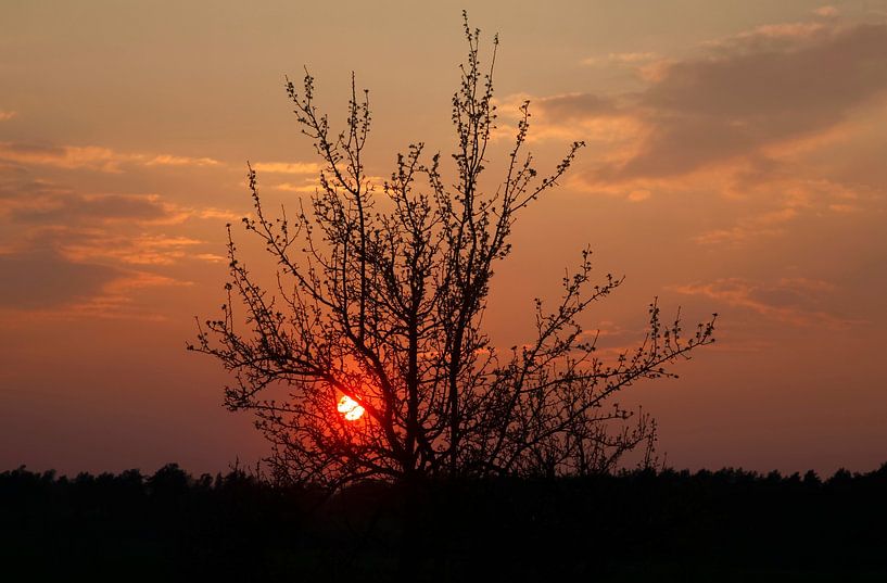Evening by Thomas Jäger