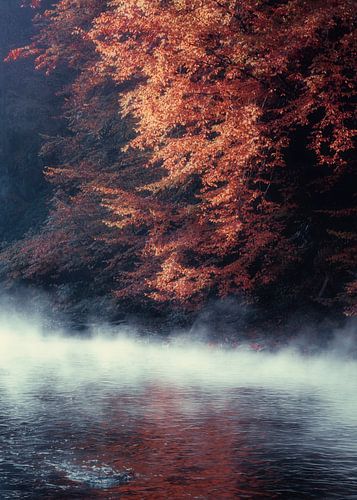 Fall at the river
