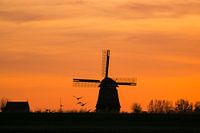 Orange néerlandaise