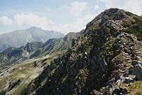 Uitzicht vanaf de Roßkopf