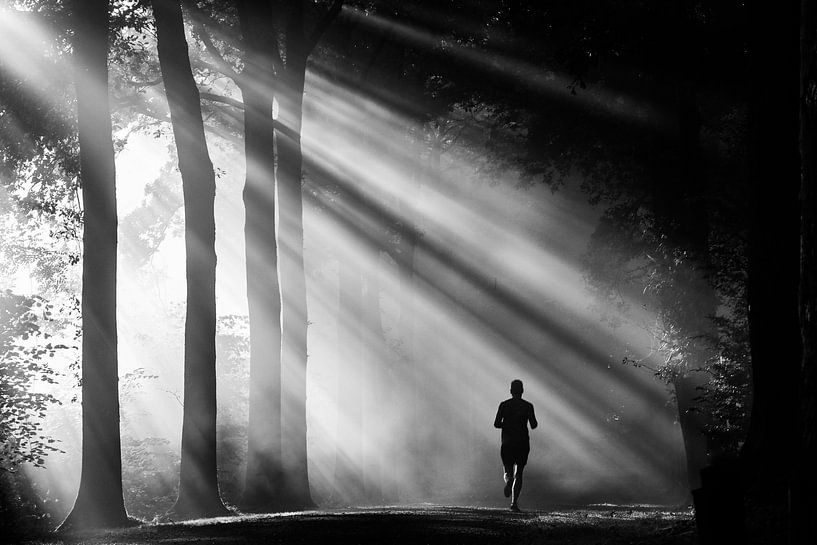 Laufen durch die Sonnenstrahlen auf dem Landgut Amelisweerd von Arthur Puls Photography