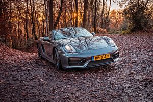 Porsche Boxster GTS Typ 981