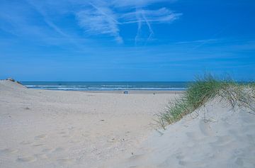 Strandslag Kattendel van Peter Bartelings