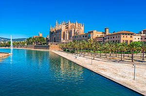 Cathédrale La Seu et Parc de la Mar à Palma de Majorque, Espagne sur Alex Winter