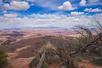 Nationaal Park Canyonlands- Islands in the Sky in Utah - Verenigde Staten