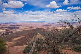 Canyonlands Islands in the Sky National Park en Utah - États-Unis sur VanEis Fotografie