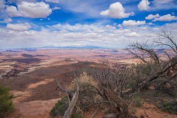 Canyonlands Inseln im Sky Nationalpark in Utah - Vereinigte Staaten von Amerika von VanEis Fotografie