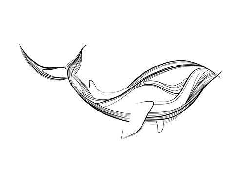 Poster Walvis - zwart wit - fine lines - kinderkamer