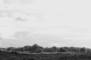 View from the Balloërveld towards Rolde