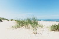 Duinen op het strand met helmgras tijdens een mooie zomer dag