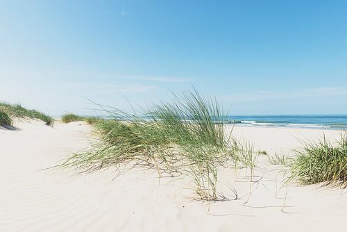 Duinen op het strand met helmgras tijdens een mooie zomer dag