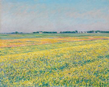 De vlakte van Gennevilliers, gele velden, Gustave Caillebotte