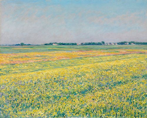De vlakte van Gennevilliers, gele velden, Gustave Caillebotte