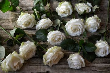 witte rozen van Claudia Moeckel
