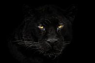 Black panther close up by gea strucks thumbnail