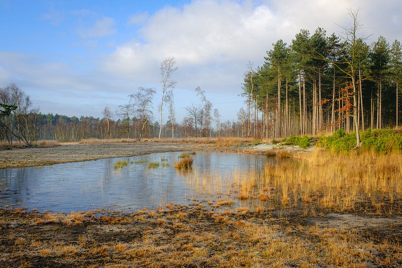 Gefrorenes Wasser von Johan Vanbockryck