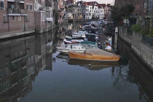 Dordrechter Weinportwein