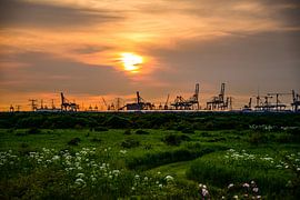 Natur & Industrie bei Sonnenuntergang von Shoot2Capture2