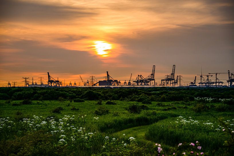 Nature &amp; L'industrie au crépuscule par Shoot2Capture2