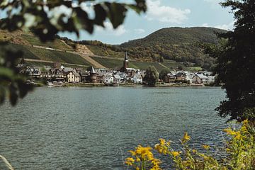 Deutsches Dorf am Rhein | Reisefotografie Fine Art Fotodruck | Deutschland, Europa von Sanne Dost
