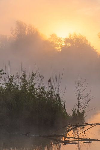 Sunrise at the lake in Germany II