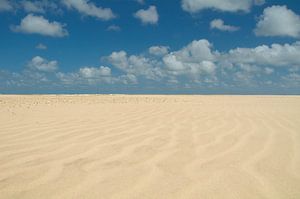 Patronen op het strand van Sjoerd van der Wal Fotografie