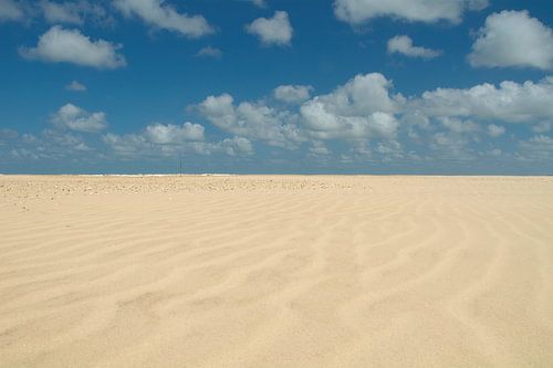 Patronen op het strand