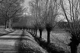 Wohin uns unser Weg wohl führen mag? (Schwarz/Weiss) von Momentaufnahme | Marius Ahlers