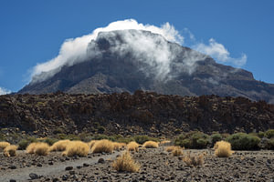 Herbst auf Teneriffa