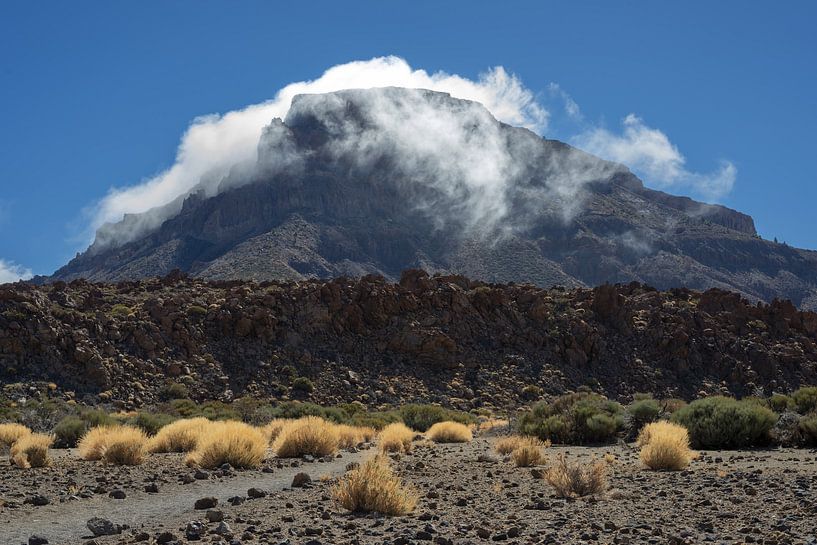 Herbst auf Teneriffa von Walter G. Allgöwer