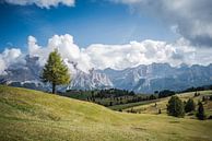 Berge Italien von Anita Kabbedijk Miniaturansicht