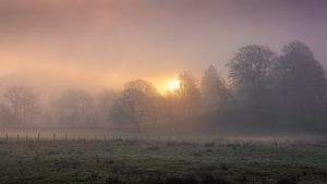 Een mistige zonsopkomst ochtend in de Belgsche Ardennen.