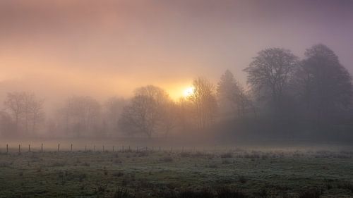 Ein nebliger Sonnenaufgang in den belgischen Ardennen. von Rob Christiaans