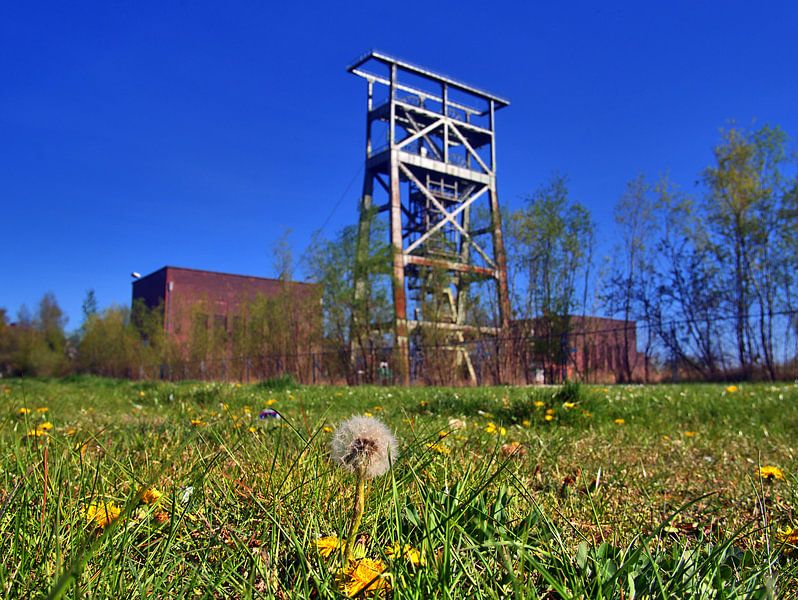 Gneisenau printemps 13 par Edgar Schermaul