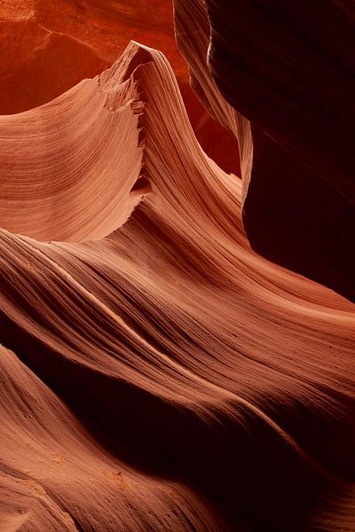 Unterer Antelope Canyon in Amerika von Elyse Madlener