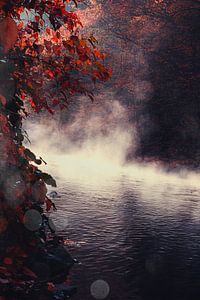 Nebel über dem Fluss