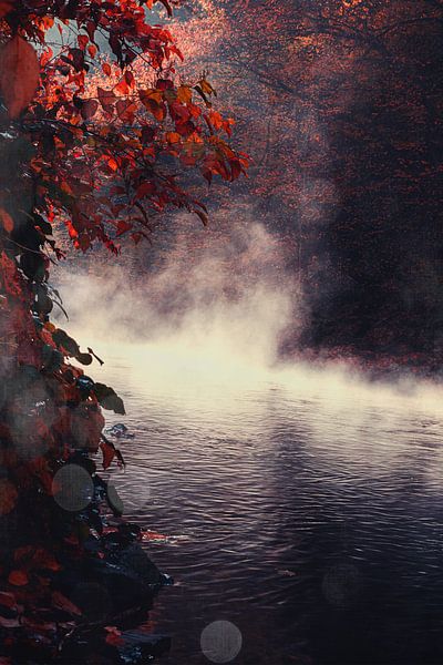 Mist over de rivier van Dirk Wüstenhagen